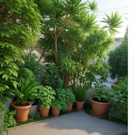 Σπίτι διακοπών Three Bedroom With Fireplace And Piano *