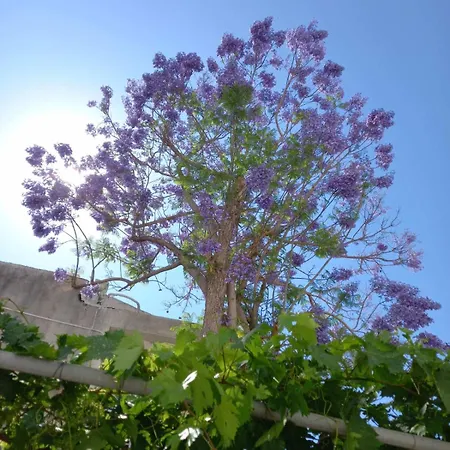 Dom wakacyjny Three Bedroom With Fireplace And Piano