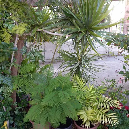 Three Bedroom With Fireplace And Piano بيت للعطل *