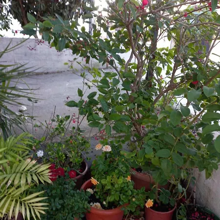 Three Bedroom With Fireplace And Piano Holiday home *