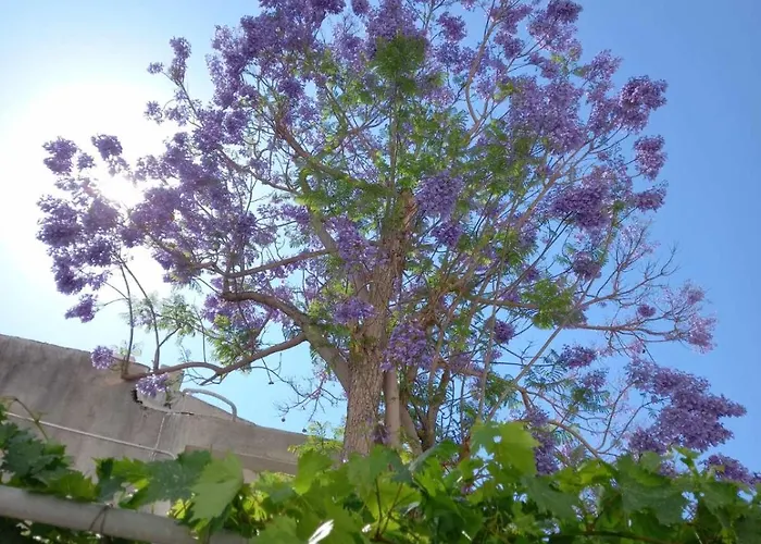 Prázdninový dům Three Bedroom With Fireplace And Piano