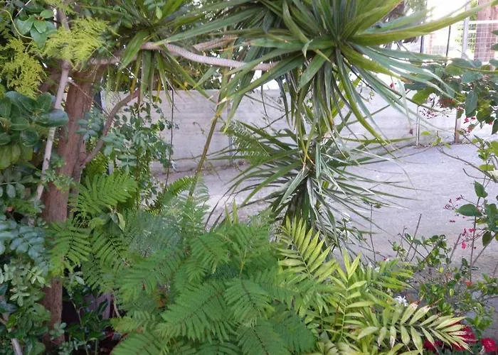 Three Bedroom With Fireplace And Piano Prázdninový dům *