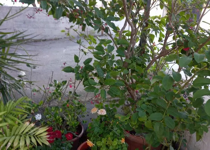 Three Bedroom With Fireplace And Piano Feriehus *